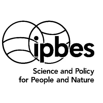 @ipbeses - Twitter Account Stats