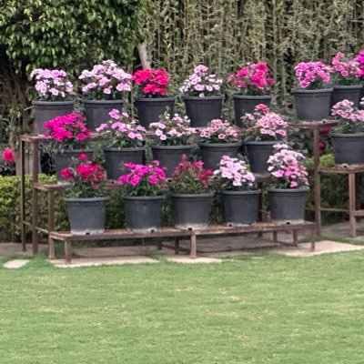 Dipanshu Kabra
