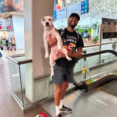 @javiermojica44 - Twitter Account Stats