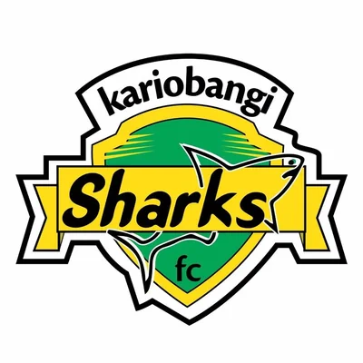 @k_sharksfc - Twitter Account Stats