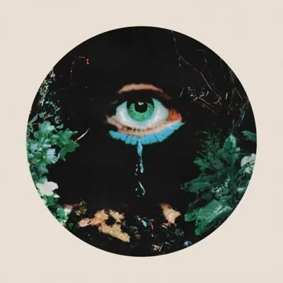 @knockedloose - Twitter Account Stats