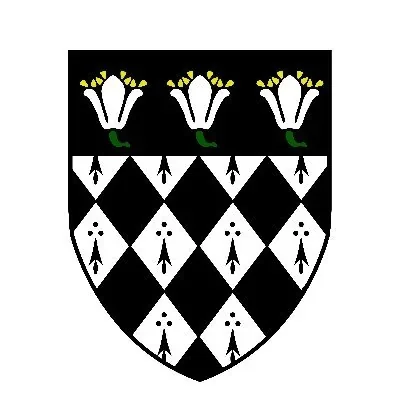 @magdalenoxford - Twitter Account Stats