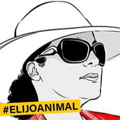 @malamadremx - Twitter Account Stats