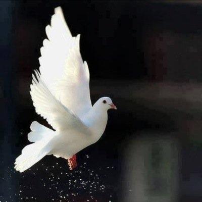 د. مُنى العتيبي