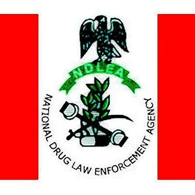 NDLEA NIGERIA
