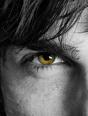 @paolo_deceglie - Twitter Account Stats