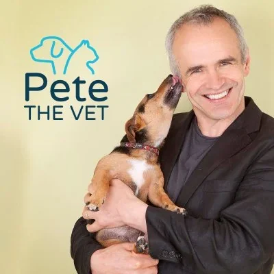 @petethevet - Twitter Account Stats