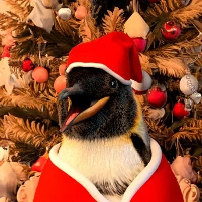 @pontofrio - Twitter Account Stats