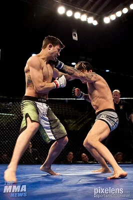 @robinblackmma - Twitter Account Stats
