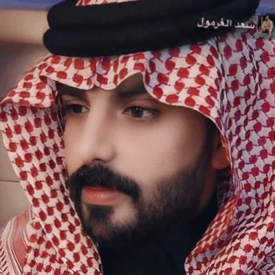 @saadalgrmool - Twitter Account Stats