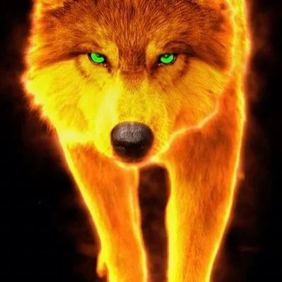 @sherm_ftc - Twitter Account Stats