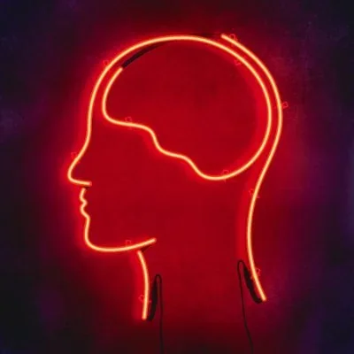 @smartereveryday - Twitter Account Stats