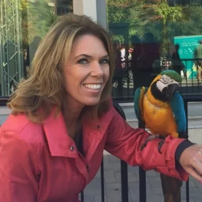 @terrideboer - Twitter Account Stats