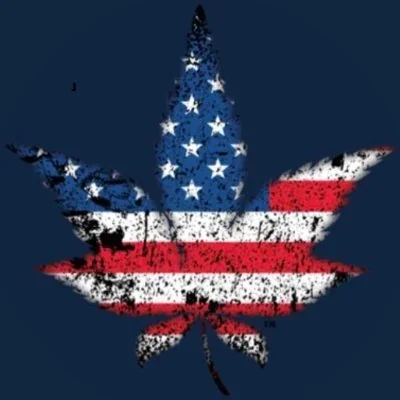 @todd_harrison - Twitter Account Stats