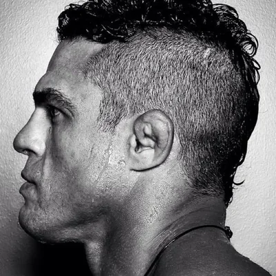@vitorbelfort - Twitter Account Stats