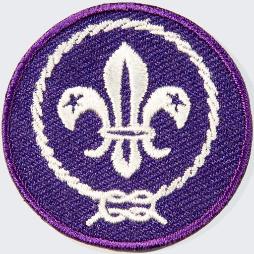 World Scouting