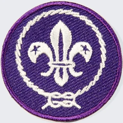 @worldscouting - Twitter Account Stats