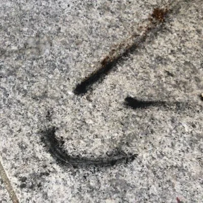 @xxmaddox - Twitter Account Stats