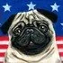 @yay - Twitter Account Stats