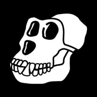 @BoredApeYC - Twitter Account Stats