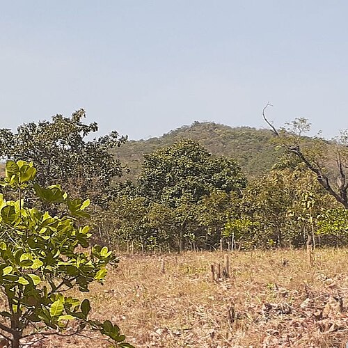 Mont Sokbaro