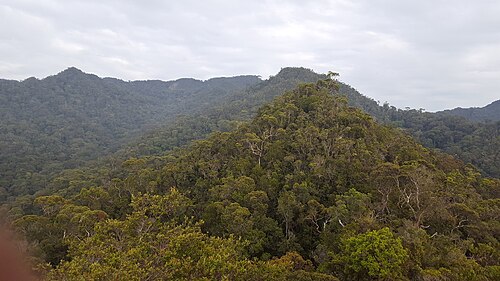 Bukit Pagon