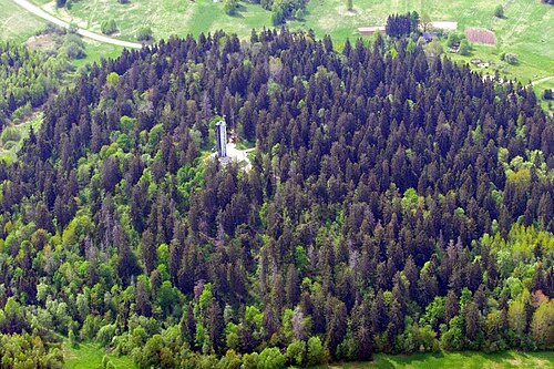 Suur Munamägi