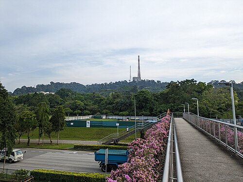 Bukit Timah Hill