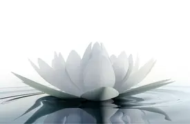 Transformational Meditation Retreat.