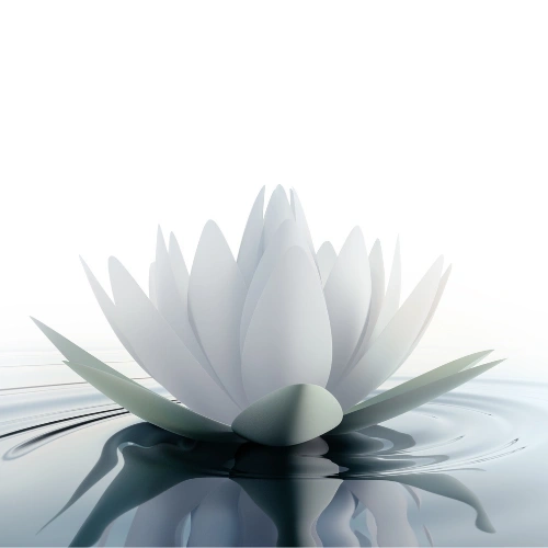 Transformational Meditation Retreat.