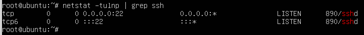 run the netstat command to check ssh port currently running on