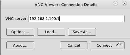 To access the server remotely, a VNC viewer software should be installed on the remote computer