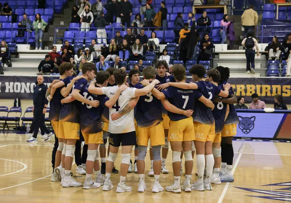 A group of male volleyball players in yellow shorts, navy blue jerseys and white knee pads are gathered in a huddle with their arms all around each other. They are standing on an indoor court in a gym with blue bleacher seats in the background.