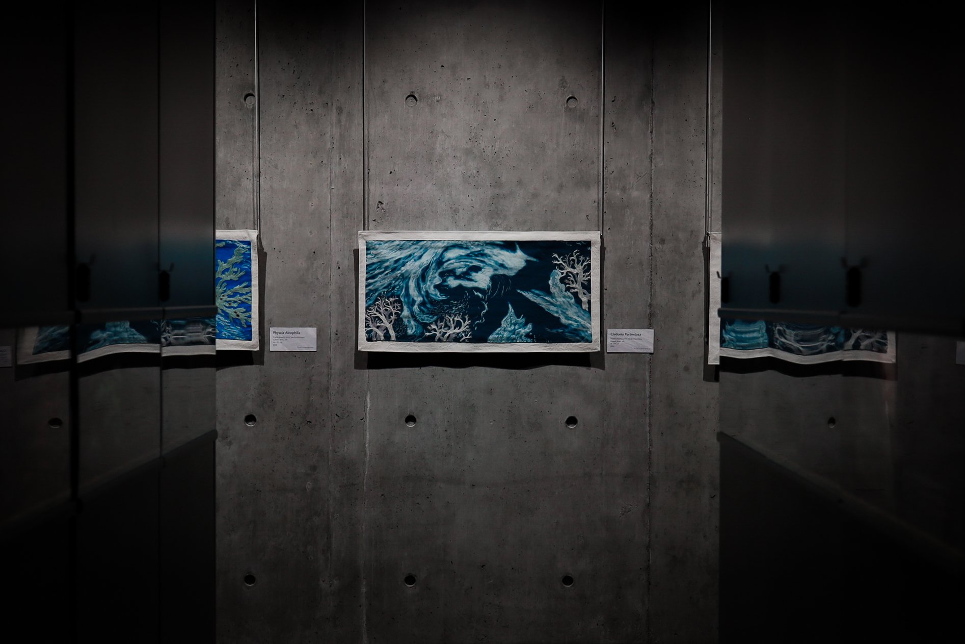 Each piece on display along the side wall of the Biodiversity Museum features a fabric screen on which is printed a hand-drawn digital image traced by Matzkuhn from satellite pictures of cloud formations.