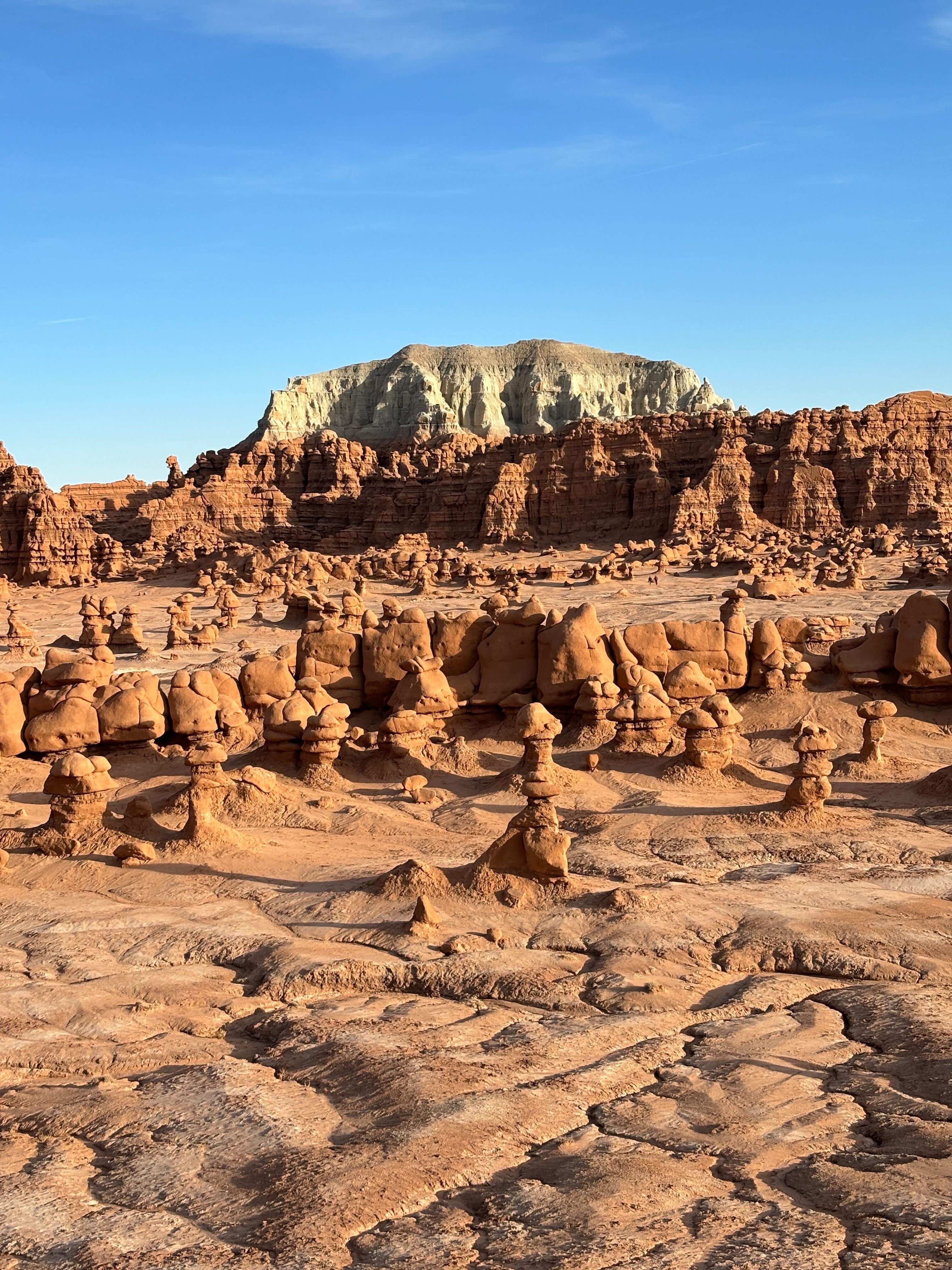 I saw snow-capped mountains turn into dried-up saltwater patches with little mounds of red-coloured sand.