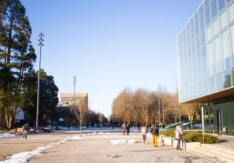 Campus, UBC Campus, UBC, mountain stock file