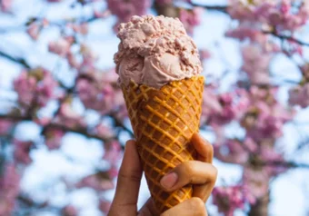 Rain or Shine, food, ice cream