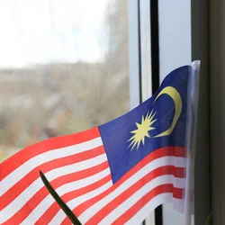 lui xia malaysian flag