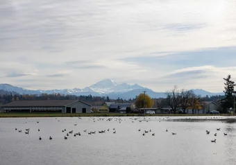 Abbotsford flooding