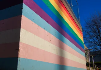 UBC pride wall (detail of trans flag)