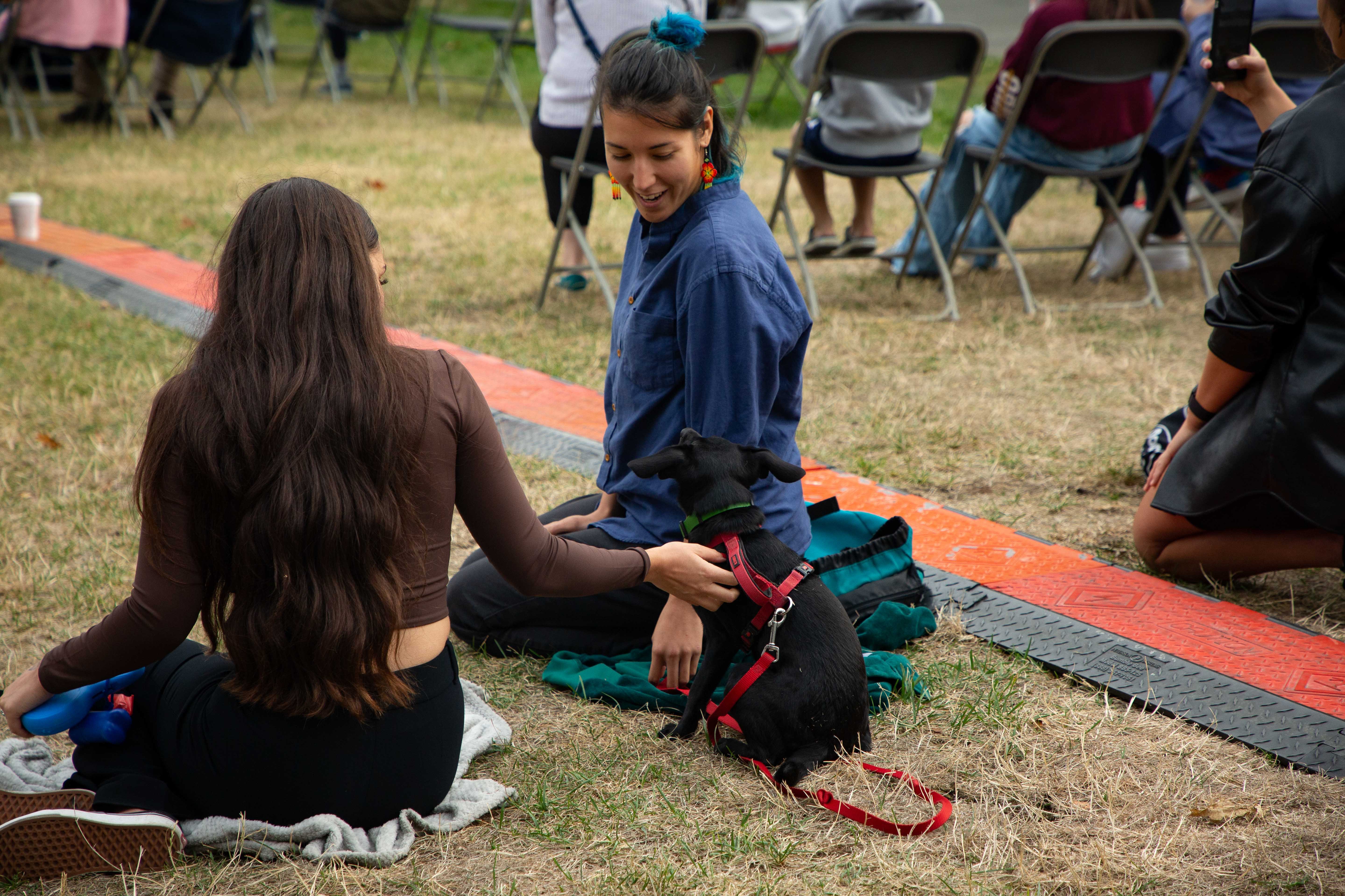 Many festival attendees listened to the concert on the lawn accompanied by their canine friends.