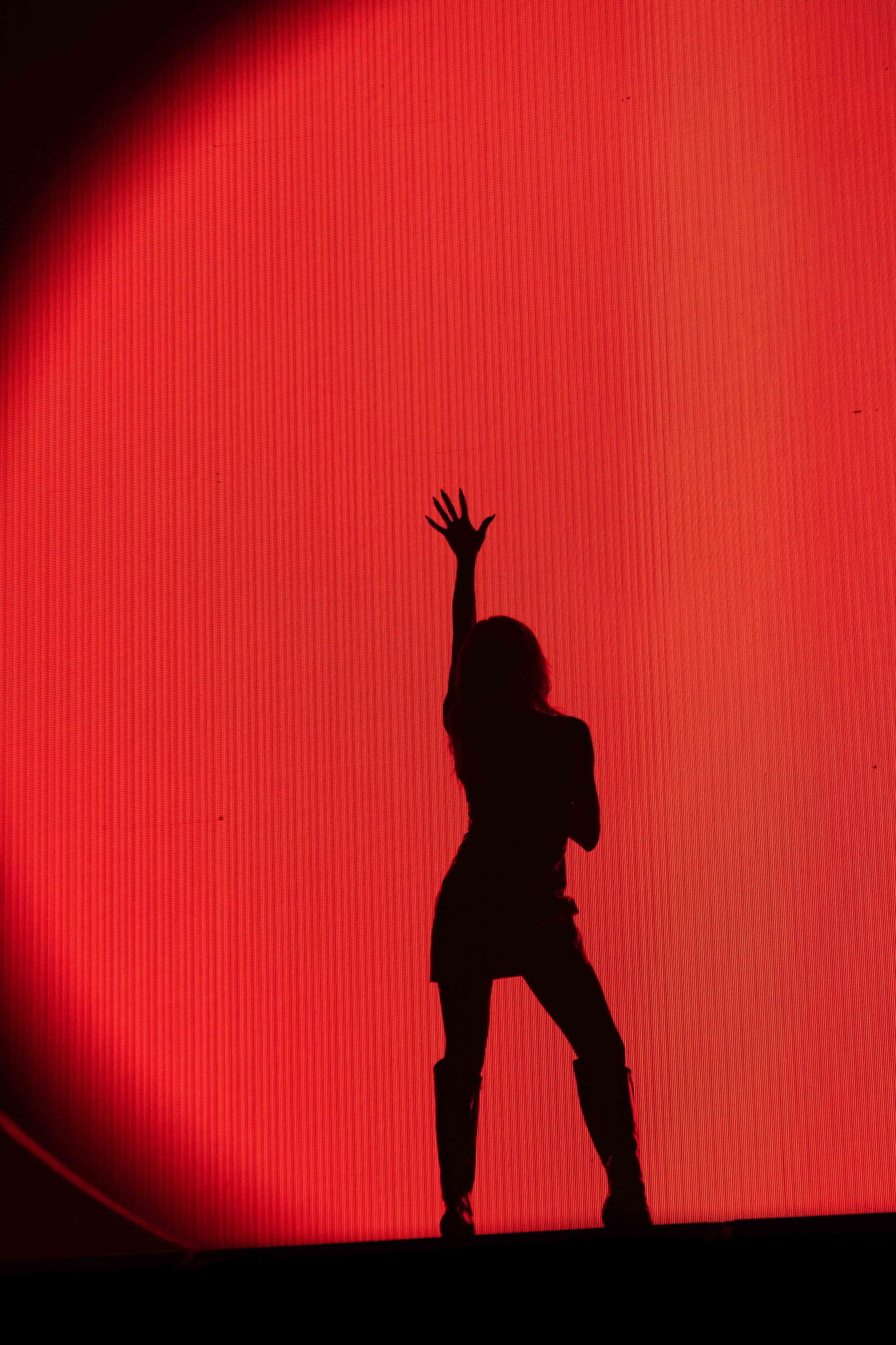 Jepsen's silhouette was met with excited screams from the crowd as she entered the stage.
