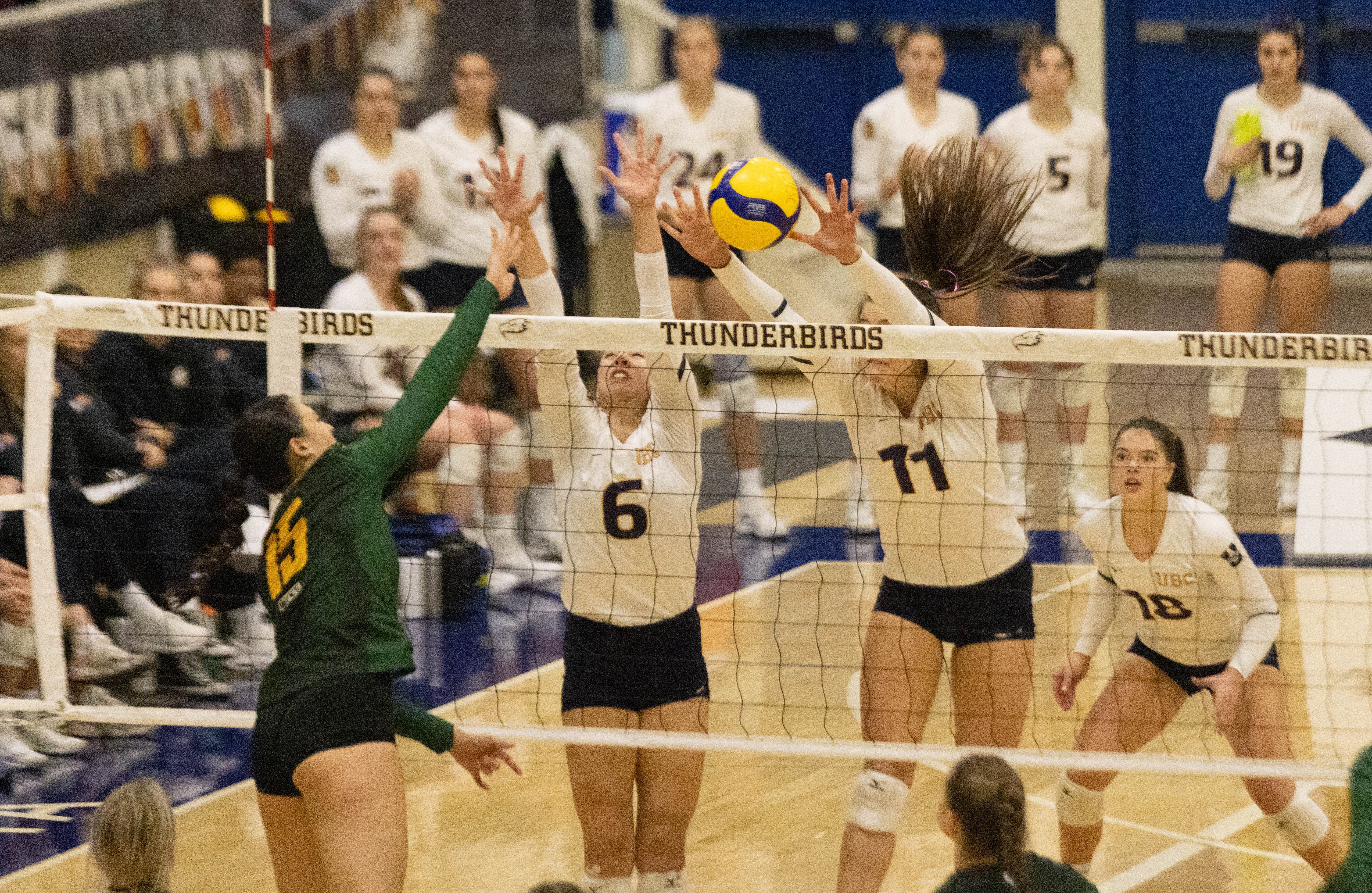 UBC outside hitter Cara Kovacs (#11) blocks a Pandas spike.