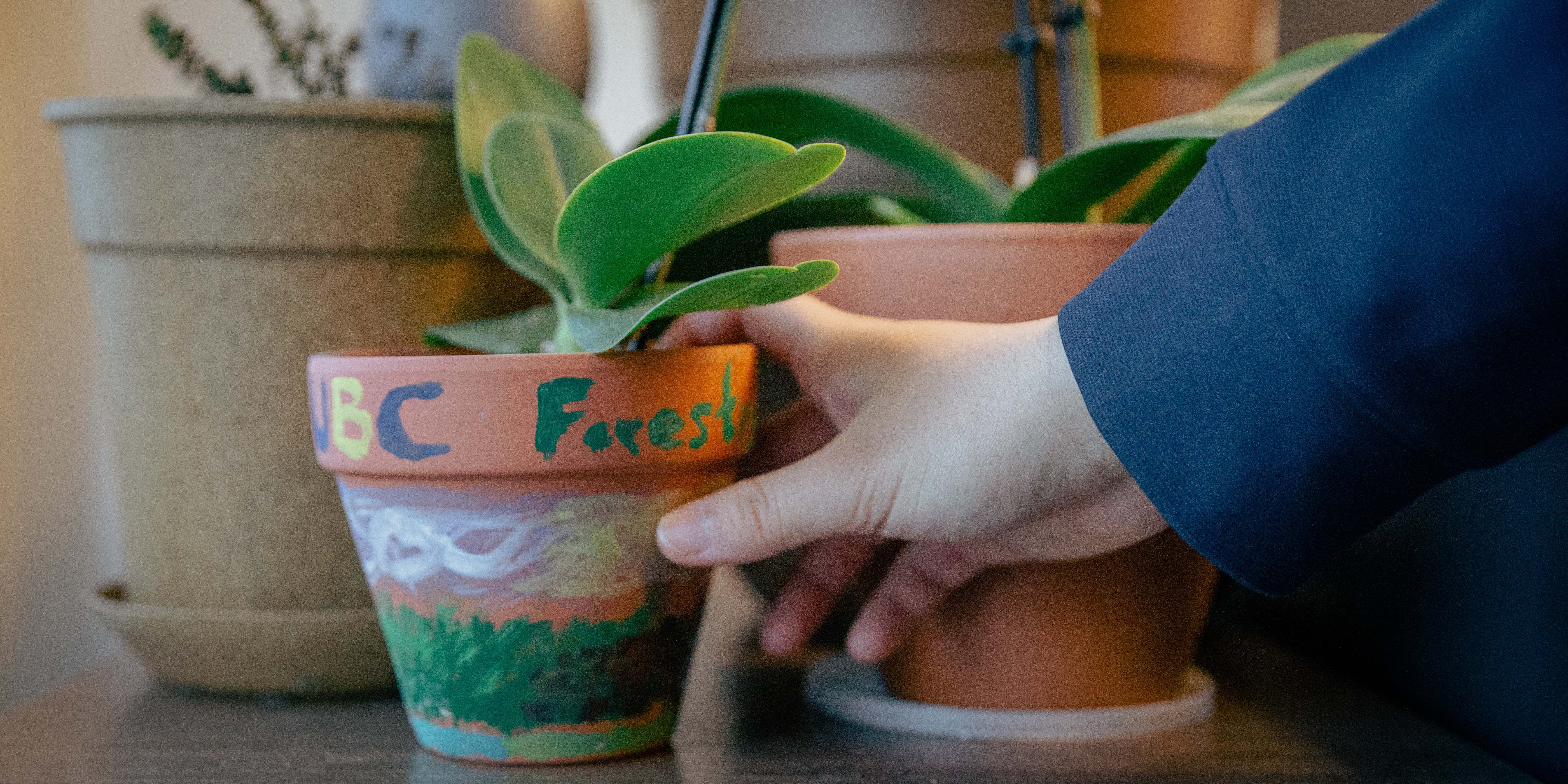 The pot Wu painted at a first-year forestry event.