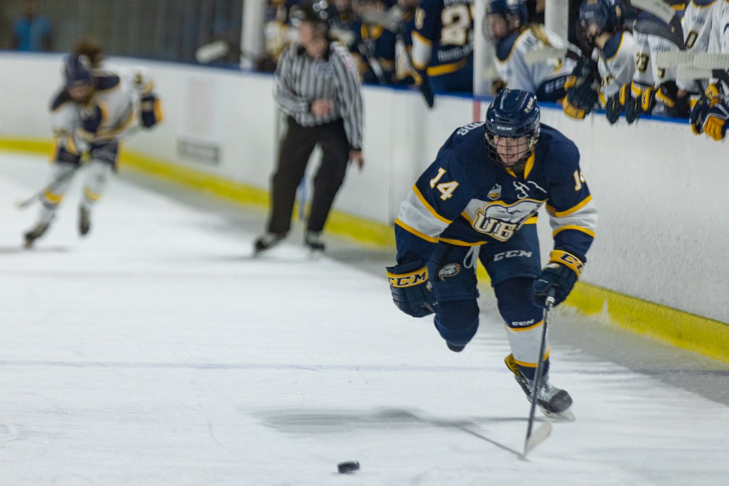 Karine Sandilands (#14) skates to the puck.