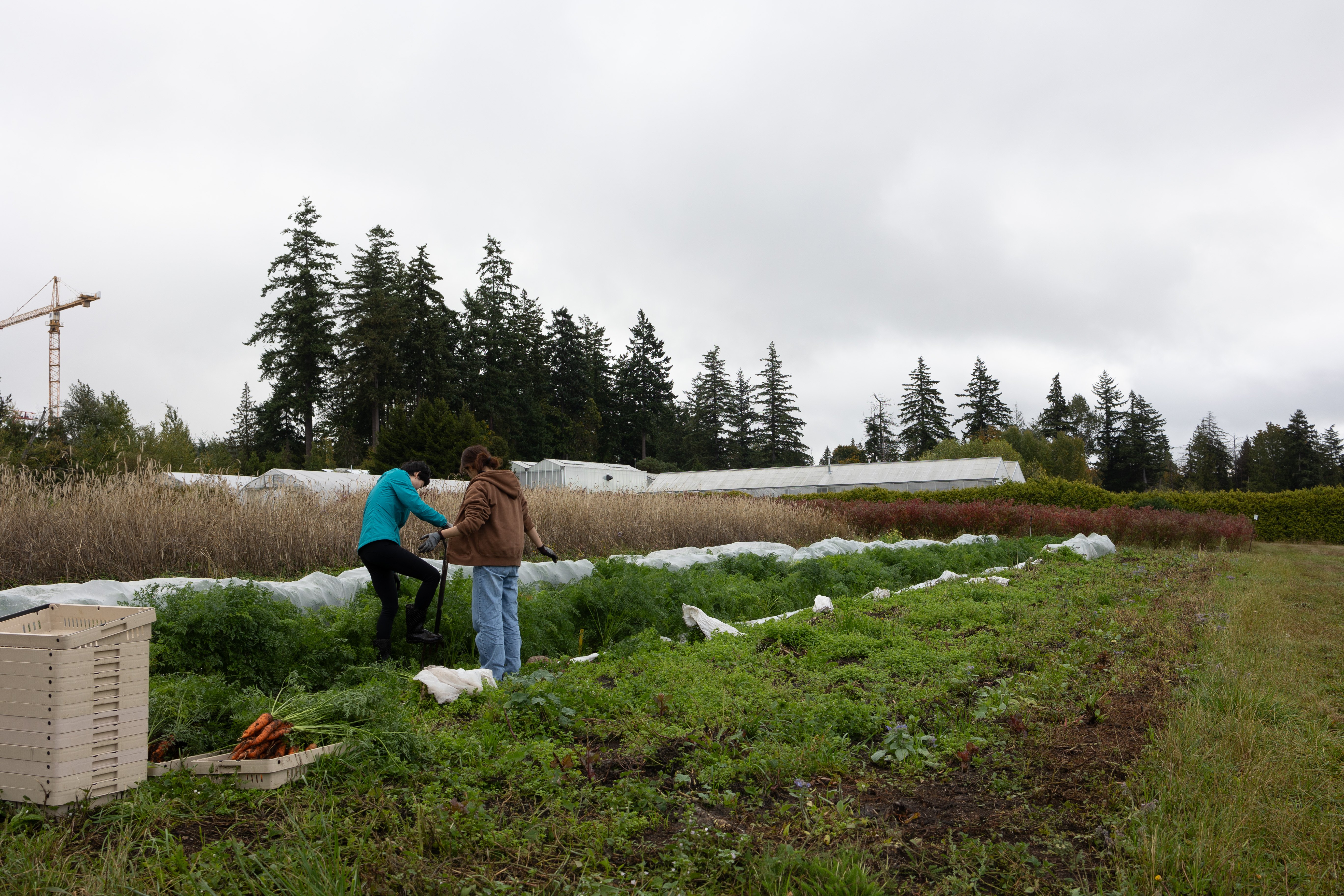 Bywater is open to trying CANOVI seeds again — to her, farming is always an experiment.