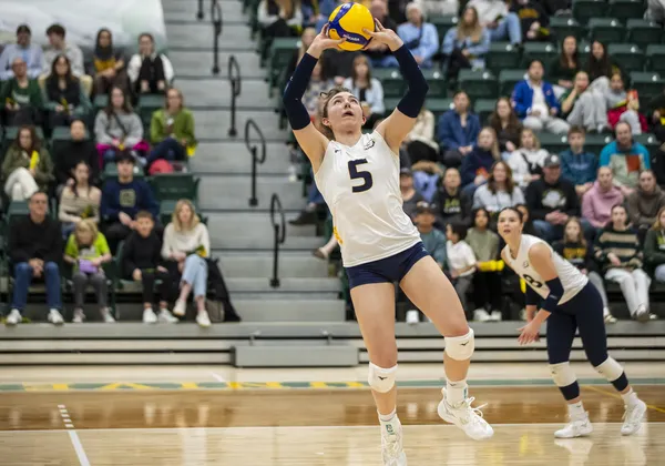 Setter Issy Robertshow sets a volleyball on an indoor court.