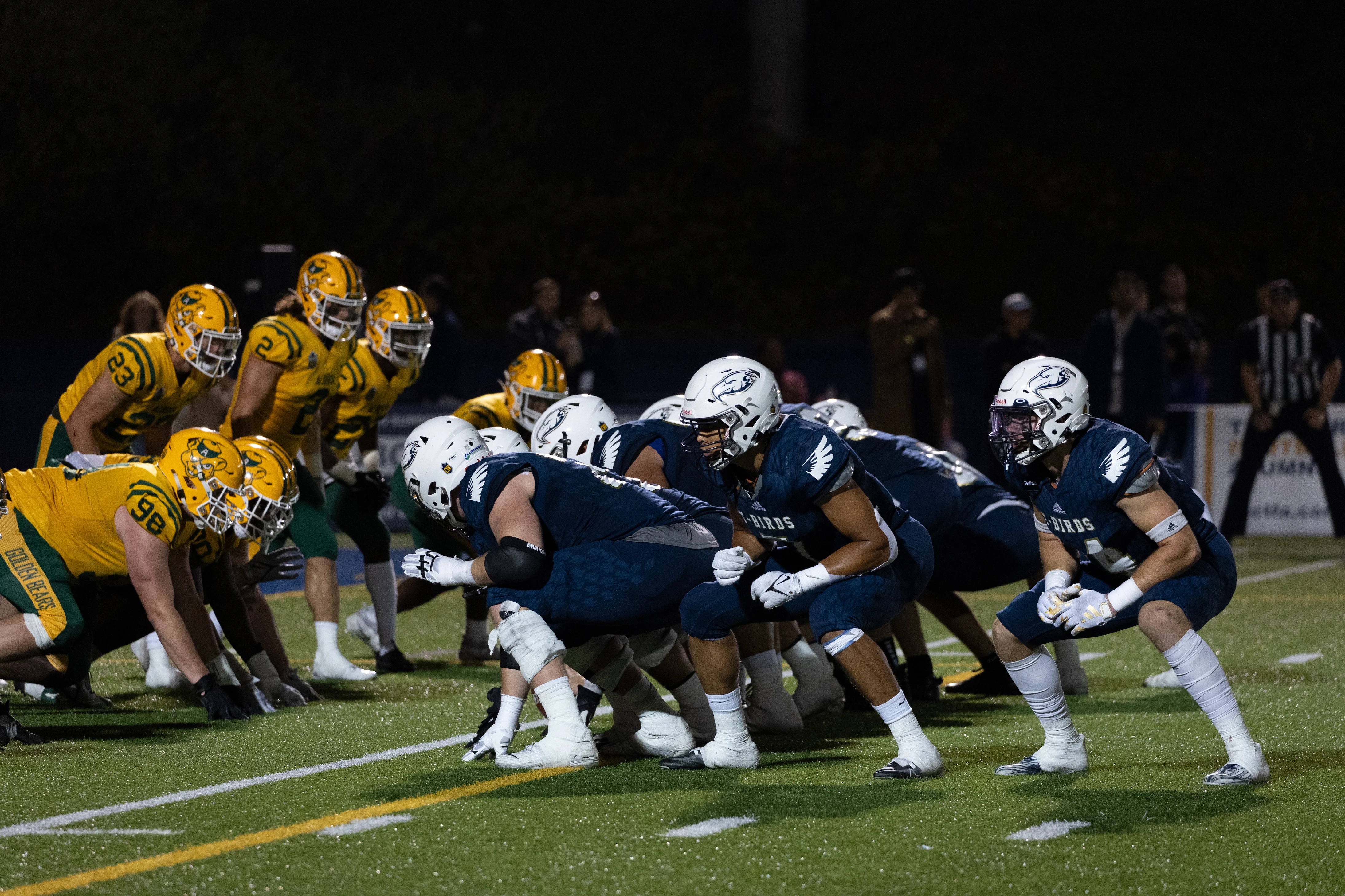 The team prepares for a snap.