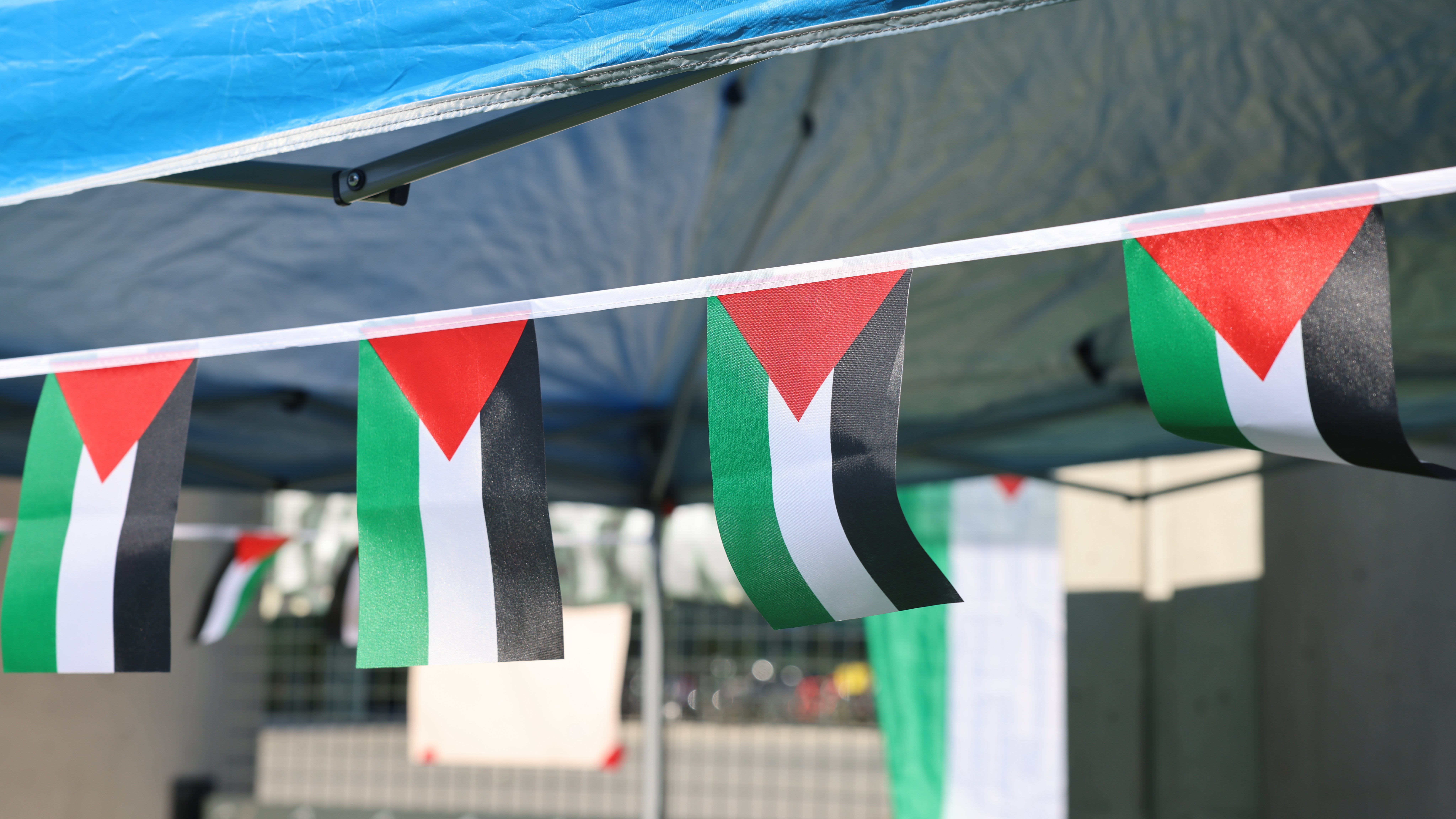 A Palestinian flag garland.