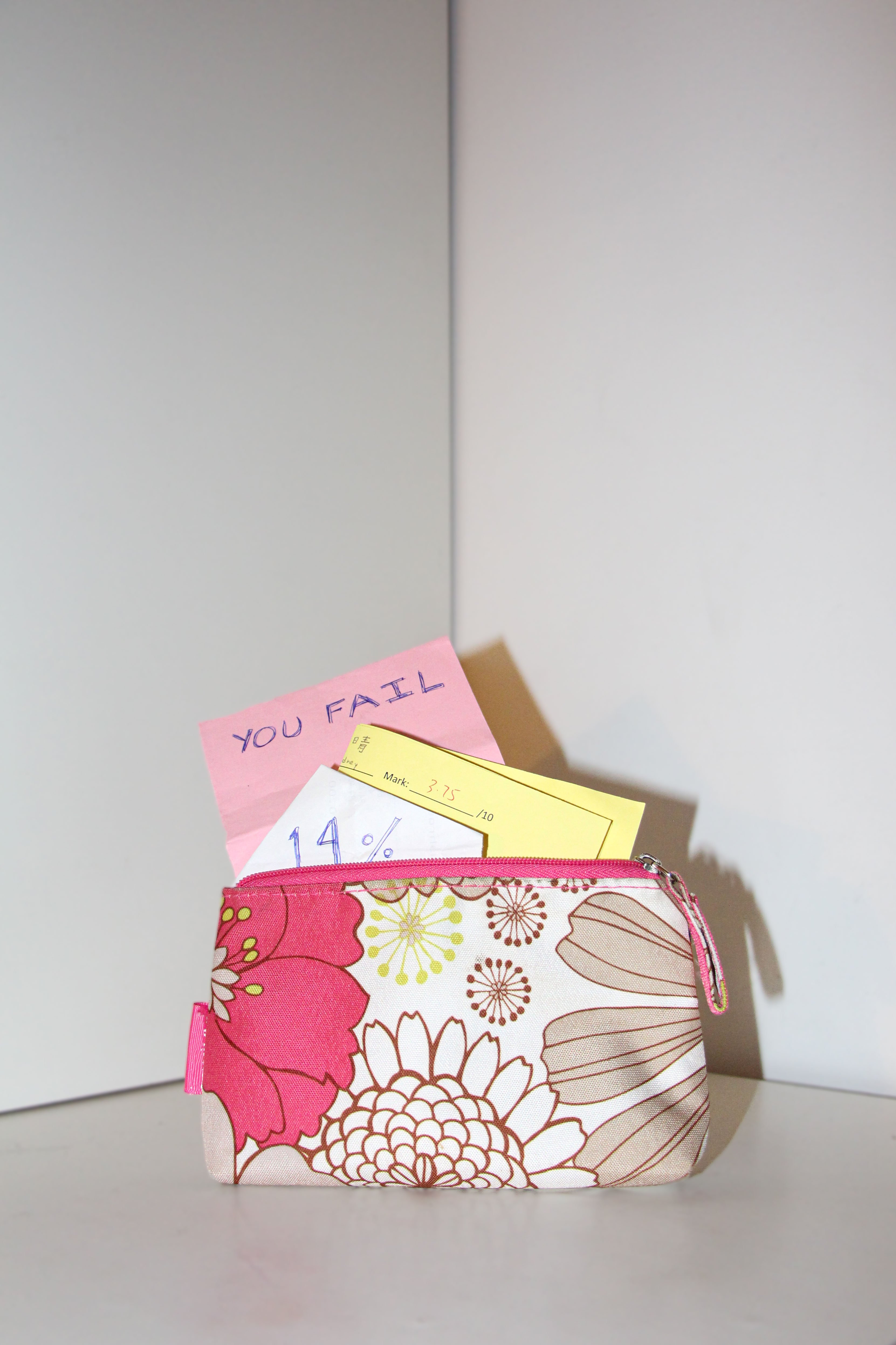 Purse with papers popping out. One reads 'You fail' while another displays a 14% exam grade.